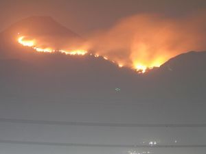 45 Hektare Hutan dan Lahan Gunung Penanggungan Terbakar