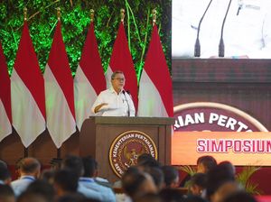 Asia Selatan-ASEAN Jadi Mitra Dagang Utama RI, Mendag: Sumbang Surplus