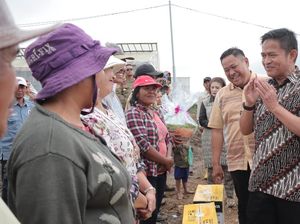 Pj Gubernur Sumut Beri Bantuan Bibit-Obat Hama untuk Petani di Parbuluan