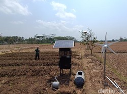 Kisah Petani di Kalijaran Cilacap Manfaatkan Sumur Bor Bertenaga Surya