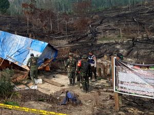 Robohkan 15 Pondok Perambah Hutan di Riau, Petugas Kena Ranjau Paku Robohkan 15 Pondok Perambah Hutan di Riau, Petugas Kena Ranjau Paku