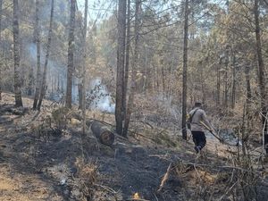 Walau Dinyatakan Padam, Tim Gabungan Masih Temukan Bara Api di Gunung Merbabu Walau Dinyatakan Padam, Tim Gabungan Masih Temukan Bara Api di Gunung Merbabu