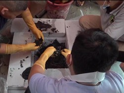 Klinik Aborsi Jaktim Buang Janin ke Septic Tank, 7 Kerangka Ditemukan