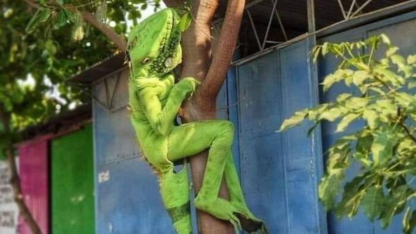 10 Gambar Ini Aneh Deh, Tapi Kok Lucu Juga Ya