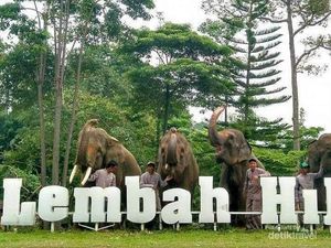 Harga Tiket-Fasilitas Terkini Lembah Hijau Lampung, Ada Satwa hingga Waterboom Harga Tiket-Fasilitas Terkini Lembah Hijau Lampung, Ada Satwa hingga Waterboom