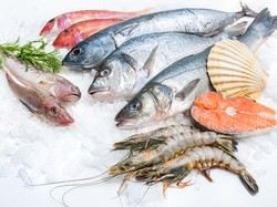 Lawan Larangan China, Amerika Malah Borong Seafood dari Jepang