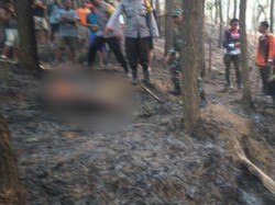 Kebakaran Hutan Trenggalek Tewaskan Seorang Petani