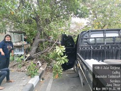 Pikap Tabrak Pohon hingga Tumbang di Jalan Kenjeran Surabaya, Satu Terluka