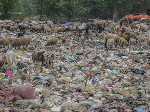 Ahli Kasih Masukan soal Penanganan Sampah, Ini Caranya
