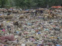 Ahli Kasih Masukan soal Penanganan Sampah, Ini Caranya