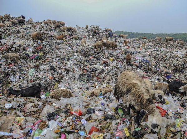 Banten Bakal Bangun TPAS Seluas 25 Hektare