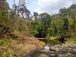 Spot Wisata Sori Nae yang Kini Gersang Akibat Perambahan Hutan Spot Wisata Sori Nae yang Kini Gersang Akibat Perambahan Hutan