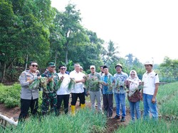 Jaga Ketahanan Pangan, Walkot Benyamin Panen Jagung Pulut-Bawang Merah