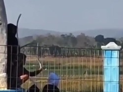 Viral Anak-anak Bawa Sajam di Lamongan, Ternyata Begini Faktanya