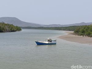 Menjelajahi TWA Menipo di Kupang, Bisa Melihat Rusa Timor