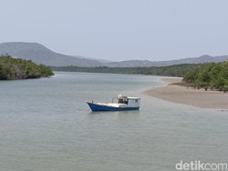 Menjelajahi TWA Menipo di Kupang, Bisa Melihat Rusa Timor