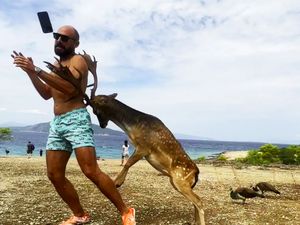 Ngeri! Data Menunjukkan Selfie Lebih Mematikan Dibanding Serangan Hiu