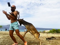 Ngeri! Data Menunjukkan Selfie Lebih Mematikan Dibanding Serangan Hiu