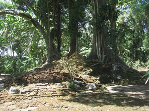 Candi Ampel Tulungagung, Jejak Majapahit yang Tersisa di Tengah Hutan