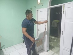 Ular Bandotan Macan 1,5 Meter Masuk Rumah Warga, Damkar Evakuasi