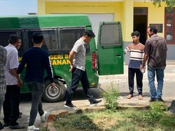 Kades di Bone Jadi Tersangka gegara Tebang Pohon di Hutan Produksi