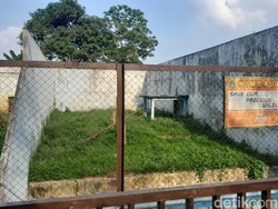 Tragis, Harimau Sumatera Mati di Medan Zoo yang Kondisinya Memprihatinkan