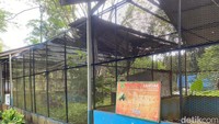 Walkot Bobby Tutup Medan Zoo Selama Pembangunan