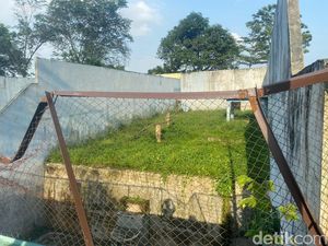 Fakta-fakta Medan Zoo Bobrok, Harimau Mati-Ngutang Gaji Pegawai