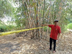 Mayat Perempuan Kepalanya Terluka Ditemukan di Blitar, Suaminya Menghilang