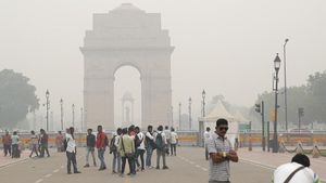 Penampakan India Dibekap Polusi Udara