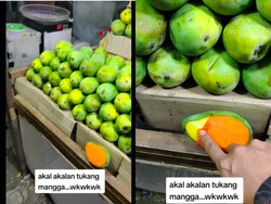 Hampir Ketipu, Beli Buah Mangga Dagingnya Dilapisi Plastik Oranye