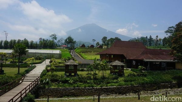 Potret DLAS Purbalingga, Wisata Lengkap di Lereng Gunung Slamet