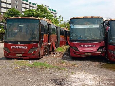 Potret Ratusan Bangkai Bus Dikubur di Rawa Buaya