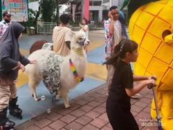 Tempat Rekreasi Berkonsep Unik di Tangerang