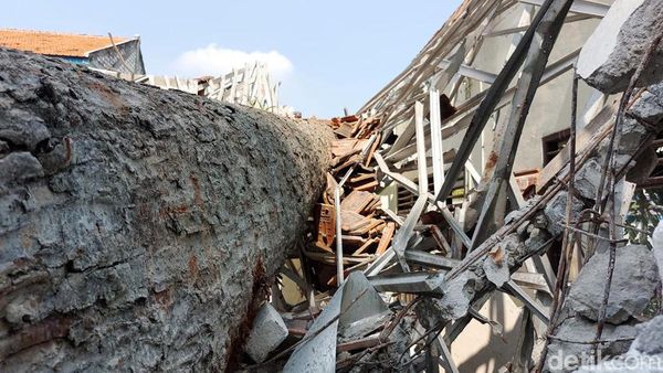 Penampakan Pohon Randu Tumbang Timpa Gedung SDN di Lamongan
