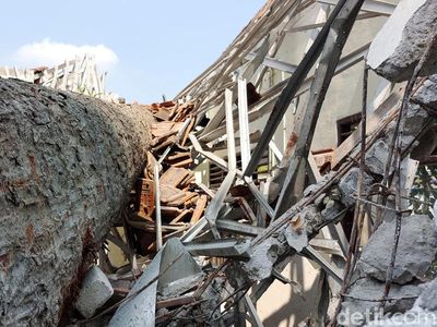 Penampakan Pohon Randu Tumbang Timpa Gedung SDN di Lamongan