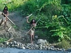 Heboh Buldoser Perusahaan Kayu di Halmahera Timur Diadang Suku Tobelo Dalam