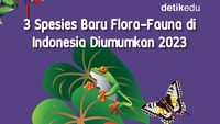 Infografis: 3 Spesies Baru di Indonesia yang Dipublikasikan 2023