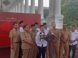 Apdesi Surtawijaya Bertemu Jokowi di Istana Presiden