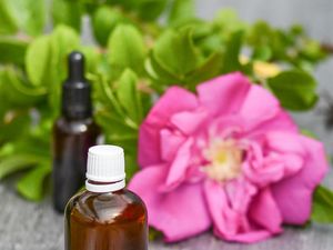 Bahan dan Cara Pembuatan Minyak Karo yang Terkenal Kaya Khasiat