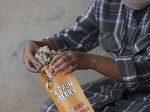 Intip Cara Membuat Keripik Daun Stroberi Khas Desa Serang Purbalingga