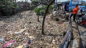 Hii... Jorok! Penampakan Sampah Kotori Sungai di Ciawi