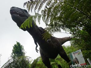 Wow... Ada Dinosaurus di Purbalingga