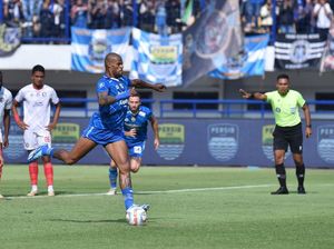 Persib Butuh Pelapis David da Silva