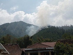Gunung Andong di Magelang Terbakar, Nyaris 1 Hektare Terdampak