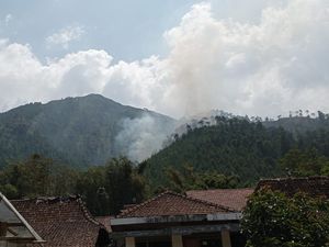 Gunung Andong di Magelang Terbakar, Nyaris 1 Hektare Terdampak Gunung Andong di Magelang Terbakar, Nyaris 1 Hektare Terdampak