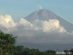 Penampakan Gunung Semeru Muntahkan Awan Panas Setinggi 1.000 Meter