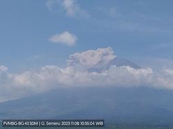 Gunung Semeru Keluarkan Awan Panas Sejauh 1.000 Meter, Status Siaga