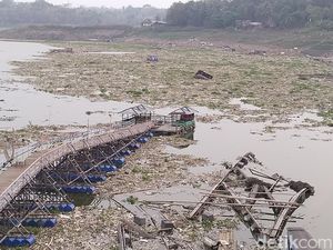 KJA di Waduk Jangari Rusak Dihantam Banjir, 50 Ton Ikan Lepas