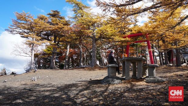 Gunung Fuji adalah kebanggaan besar bagi warga Jepang dan wisatawan yang datang bisa menikmati megah Gunung Fuji dengan titik terjauh yang bisa dicapai oleh kendaraan adalah pada level 5.